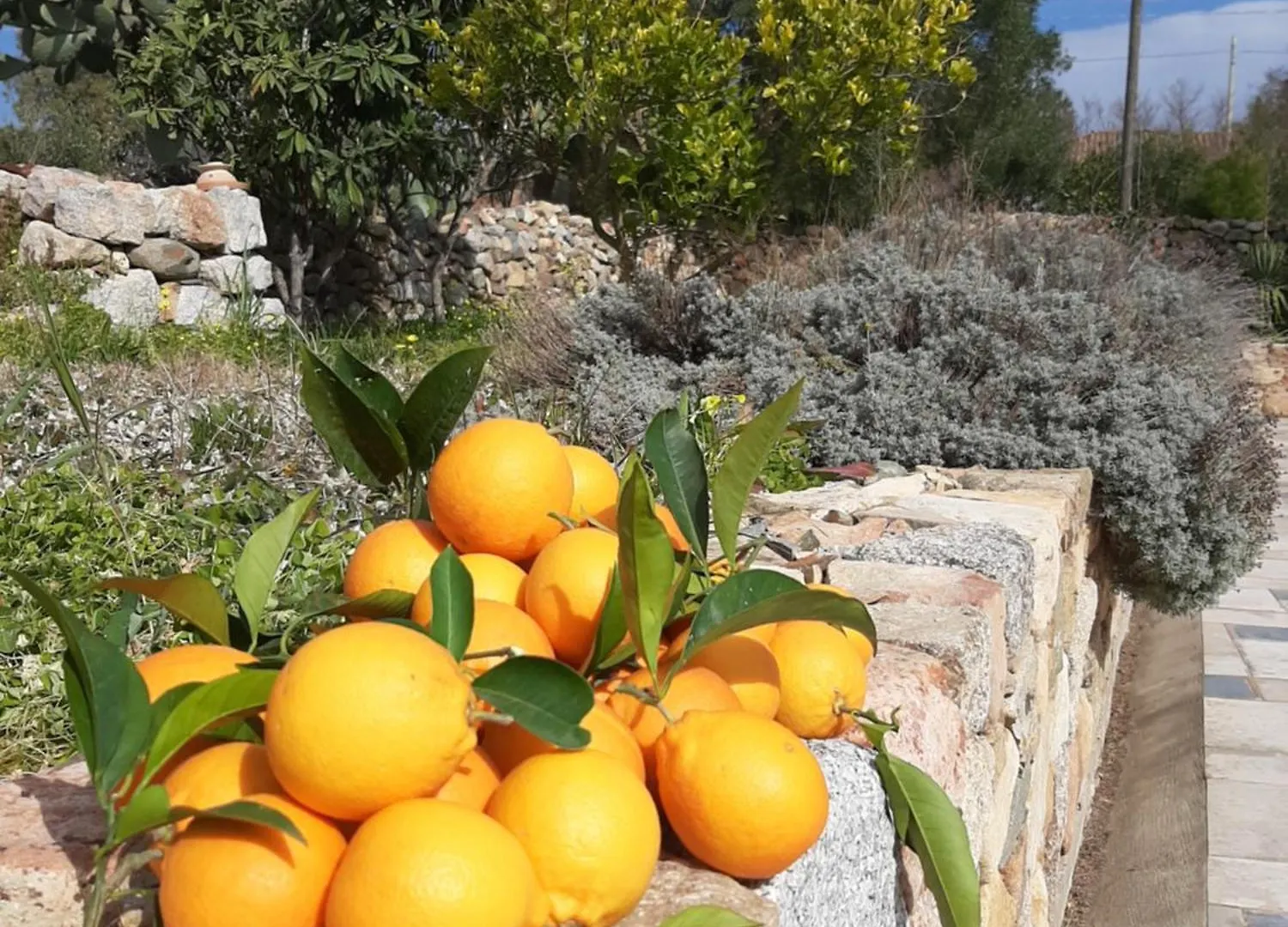 Casale Diletta Bed & Breakfast Castiadas 0*,  Italy