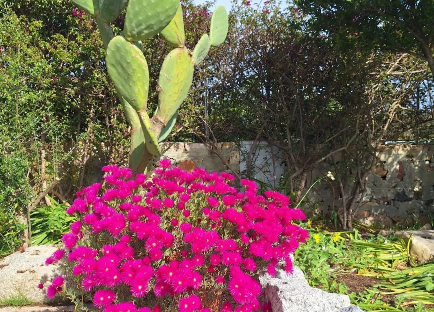 Bed & Breakfast Bed and Breakfast Casale Diletta Castiadas Italia