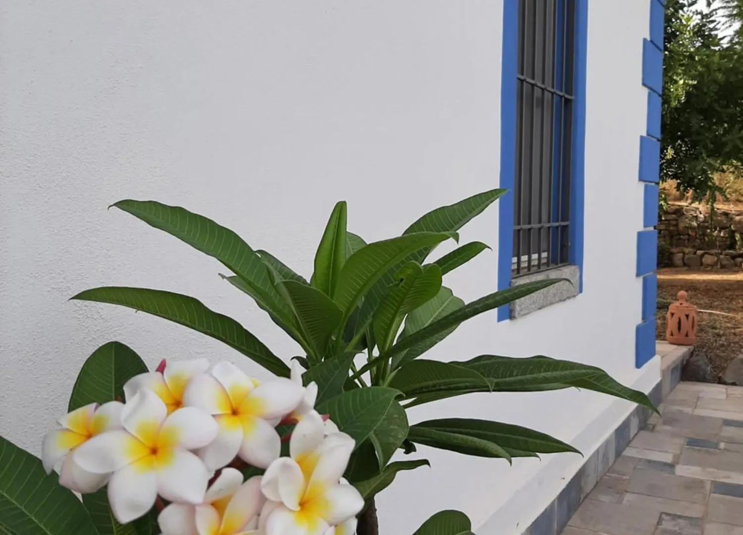Frühstückspension Bed and Breakfast Casale Diletta Castiadas