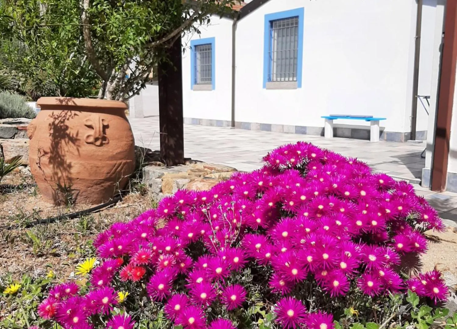 Casale Diletta Bed & Breakfast Castiadas