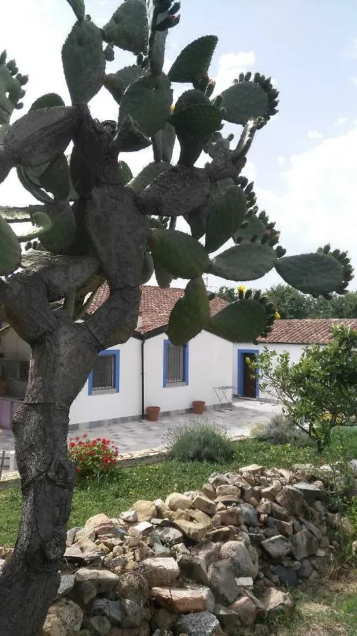 Casale Diletta Bed & Breakfast Castiadas