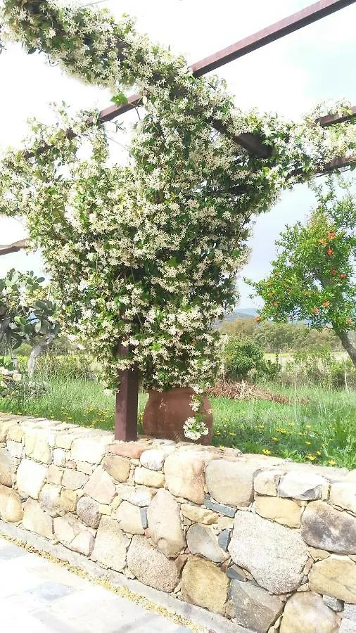 Casale Diletta Bed & Breakfast Castiadas
